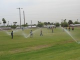 Learning how to audit and calibrate your sprinkler system can save water and money.