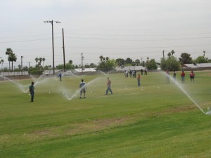  Learning how to audit and calibrate your sprinkler system can save water and money. 
